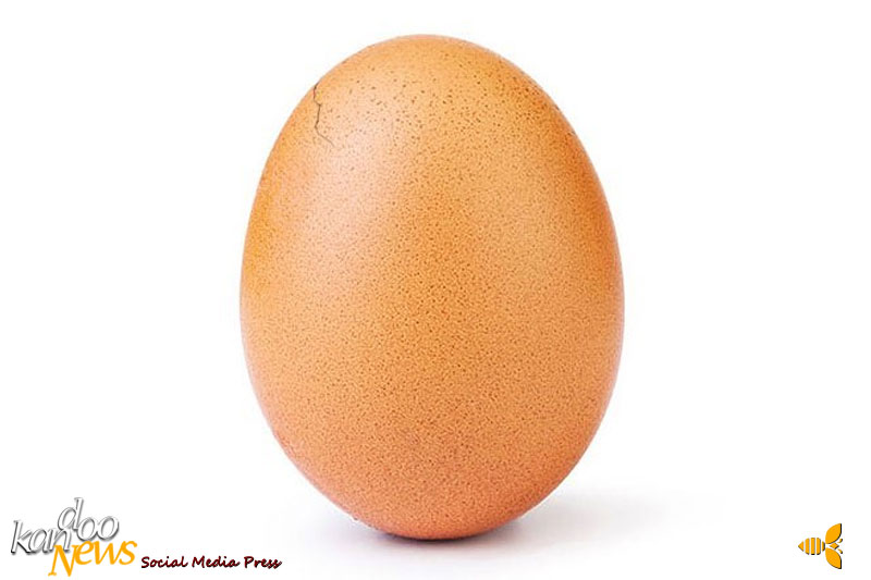 مشهورترین تخم‌مرغ اینستاگرامی دنیا ترک خورد
