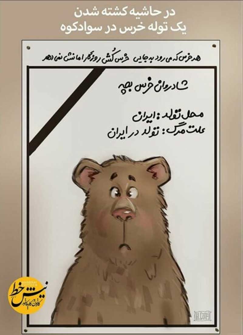 طنز تلخ کشته شدن توله خرس در ایران